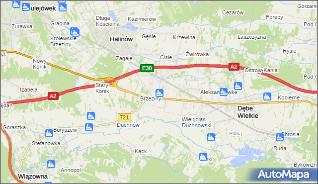 mapa Wielgolas Brzeziński, Wielgolas Brzeziński na mapie Targeo