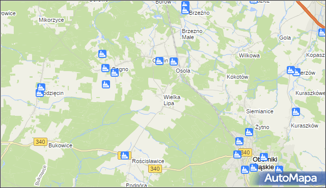 mapa Wielka Lipa, Wielka Lipa na mapie Targeo