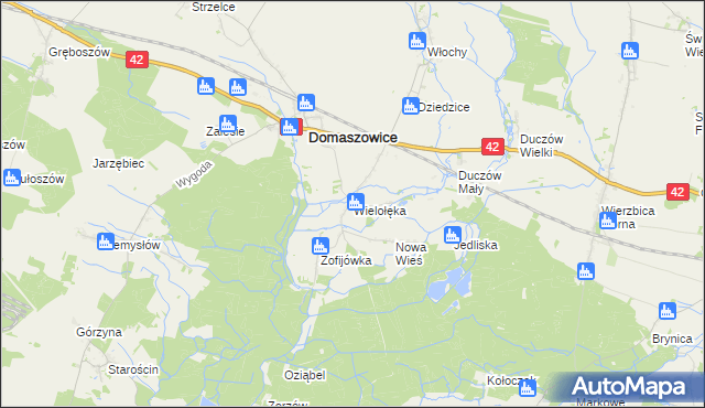 mapa Wielołęka gmina Domaszowice, Wielołęka gmina Domaszowice na mapie Targeo