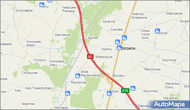 mapa Wieszczyce gmina Strzelce, Wieszczyce gmina Strzelce na mapie Targeo