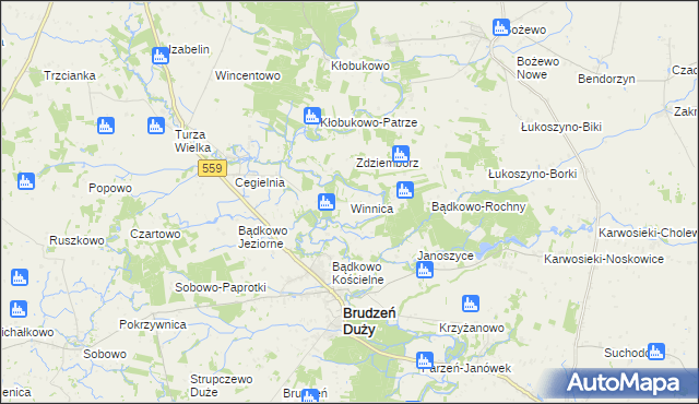 mapa Winnica gmina Brudzeń Duży, Winnica gmina Brudzeń Duży na mapie Targeo