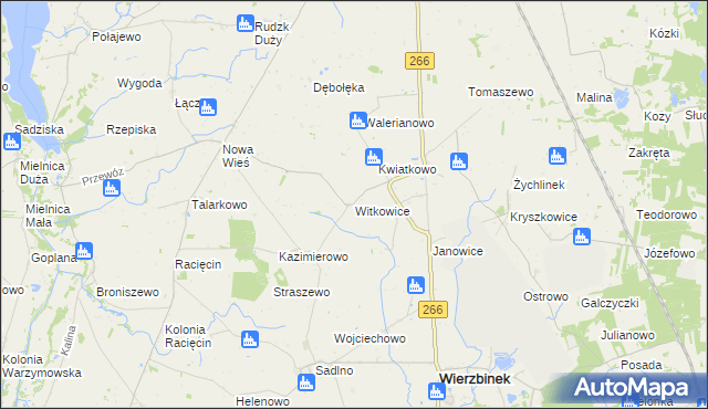 mapa Witkowice gmina Wierzbinek, Witkowice gmina Wierzbinek na mapie Targeo