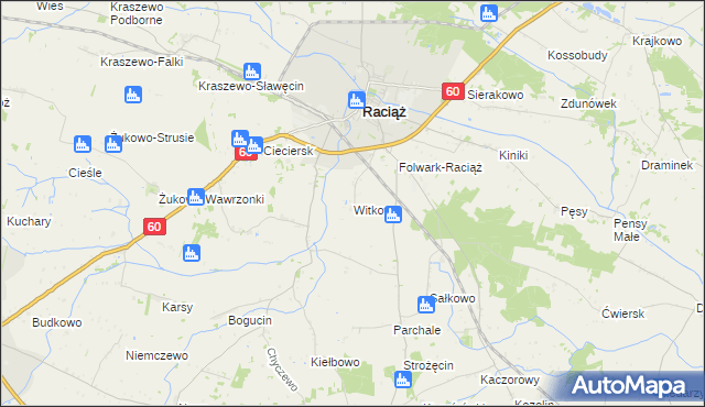 mapa Witkowo gmina Raciąż, Witkowo gmina Raciąż na mapie Targeo