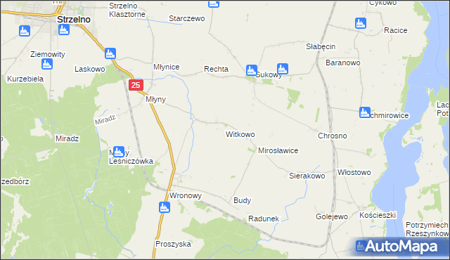mapa Witkowo gmina Strzelno, Witkowo gmina Strzelno na mapie Targeo