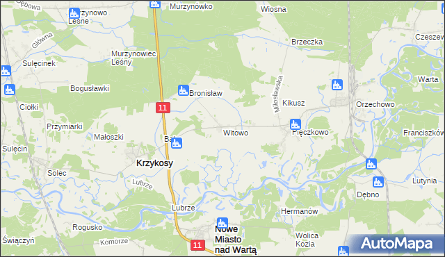 mapa Witowo gmina Krzykosy, Witowo gmina Krzykosy na mapie Targeo