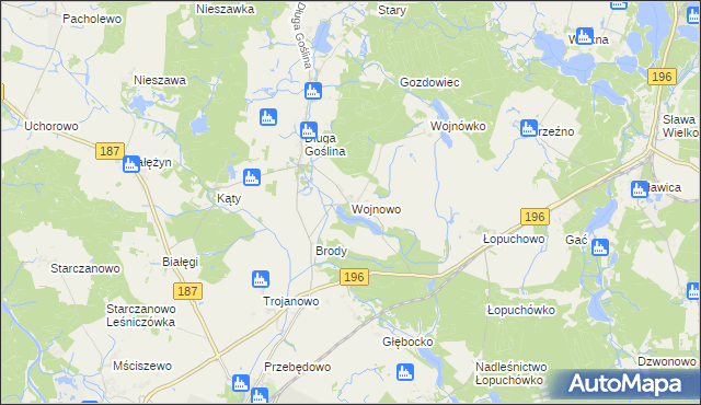 mapa Wojnowo gmina Murowana Goślina, Wojnowo gmina Murowana Goślina na mapie Targeo
