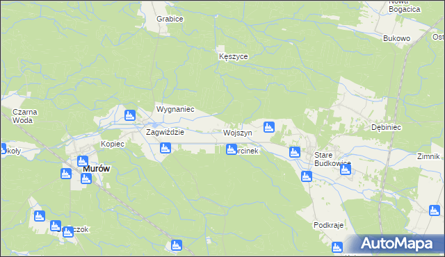 mapa Wojszyn gmina Murów, Wojszyn gmina Murów na mapie Targeo