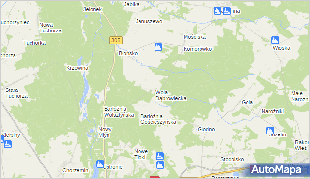 mapa Wola Dąbrowiecka, Wola Dąbrowiecka na mapie Targeo