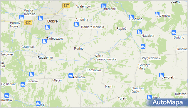 mapa Wólka Czarnogłowska, Wólka Czarnogłowska na mapie Targeo