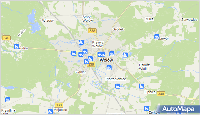 mapa Wołów, Wołów na mapie Targeo