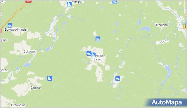 mapa Wołowe Lasy, Wołowe Lasy na mapie Targeo