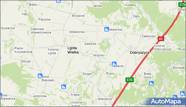 mapa Woźniki gmina Lgota Wielka, Woźniki gmina Lgota Wielka na mapie Targeo