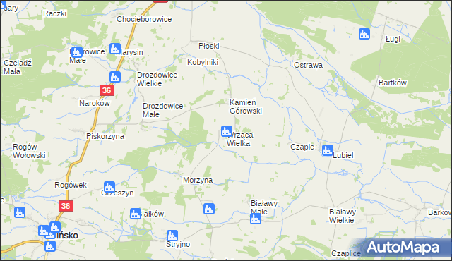 mapa Wrząca Wielka gmina Wąsosz, Wrząca Wielka gmina Wąsosz na mapie Targeo