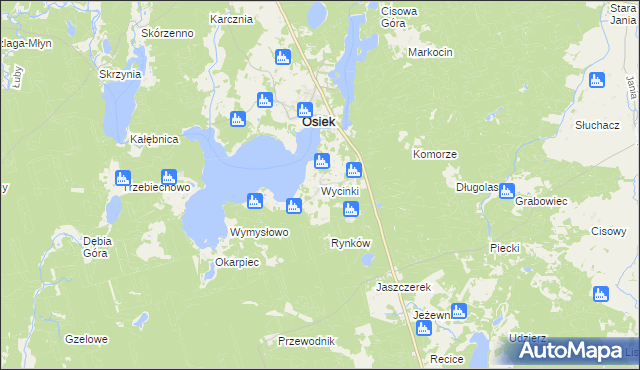 mapa Wycinki gmina Osiek, Wycinki gmina Osiek na mapie Targeo