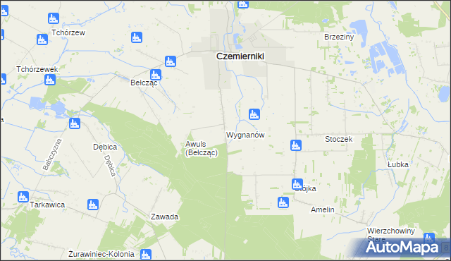 mapa Wygnanów gmina Czemierniki, Wygnanów gmina Czemierniki na mapie Targeo