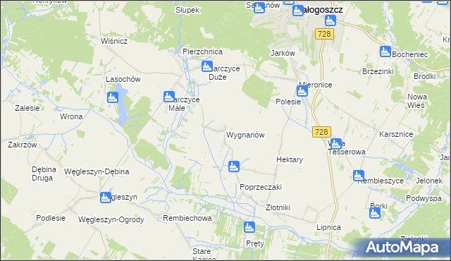 mapa Wygnanów gmina Małogoszcz, Wygnanów gmina Małogoszcz na mapie Targeo