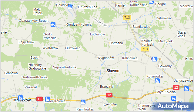 mapa Wygnanów gmina Sławno, Wygnanów gmina Sławno na mapie Targeo