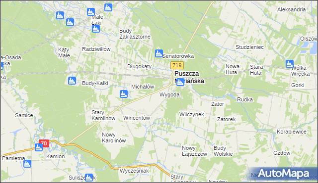 mapa Wygoda gmina Puszcza Mariańska, Wygoda gmina Puszcza Mariańska na mapie Targeo