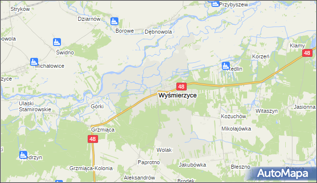 mapa Wyśmierzyce, Wyśmierzyce na mapie Targeo