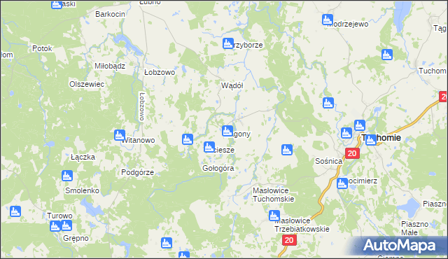 mapa Zagony gmina Tuchomie, Zagony gmina Tuchomie na mapie Targeo
