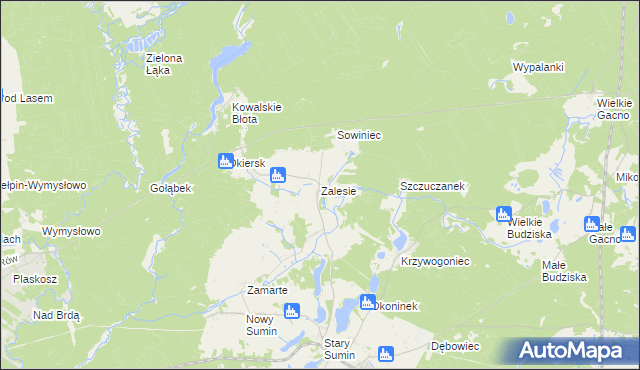 mapa Zalesie gmina Cekcyn, Zalesie gmina Cekcyn na mapie Targeo