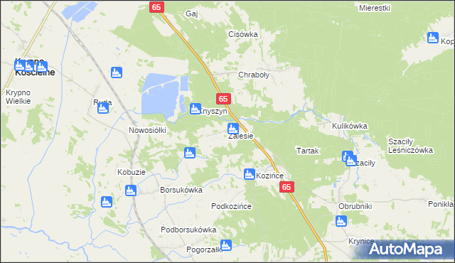 mapa Zalesie gmina Dobrzyniewo Duże, Zalesie gmina Dobrzyniewo Duże na mapie Targeo