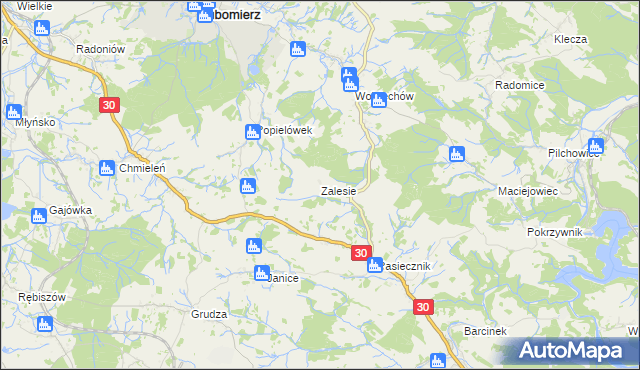 mapa Zalesie gmina Lubomierz, Zalesie gmina Lubomierz na mapie Targeo