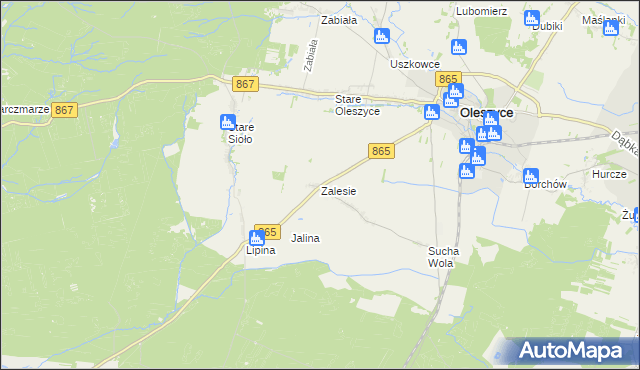 mapa Zalesie gmina Oleszyce, Zalesie gmina Oleszyce na mapie Targeo