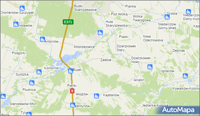 mapa Zalesie gmina Skaryszew, Zalesie gmina Skaryszew na mapie Targeo
