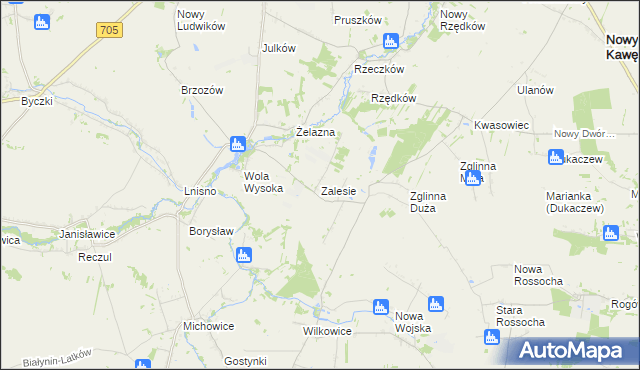 mapa Zalesie gmina Skierniewice, Zalesie gmina Skierniewice na mapie Targeo