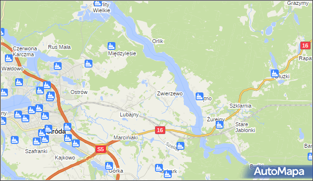 mapa Zwierzewo, Zwierzewo na mapie Targeo