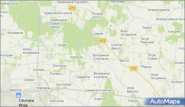 mapa Borszewice Cmentarne, Borszewice Cmentarne na mapie Targeo