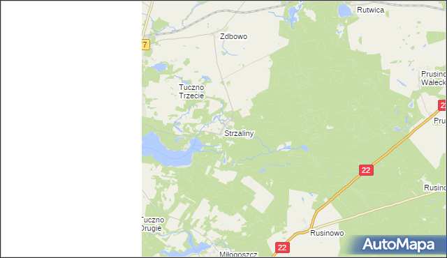mapa Strzaliny, Strzaliny na mapie Targeo