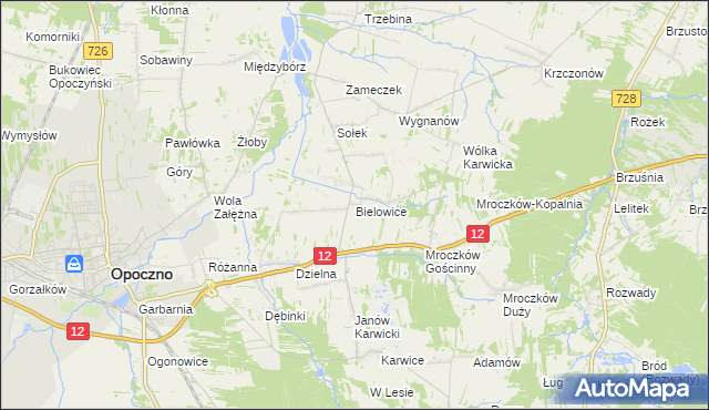 mapa Bielowice gmina Opoczno, Bielowice gmina Opoczno na mapie Targeo