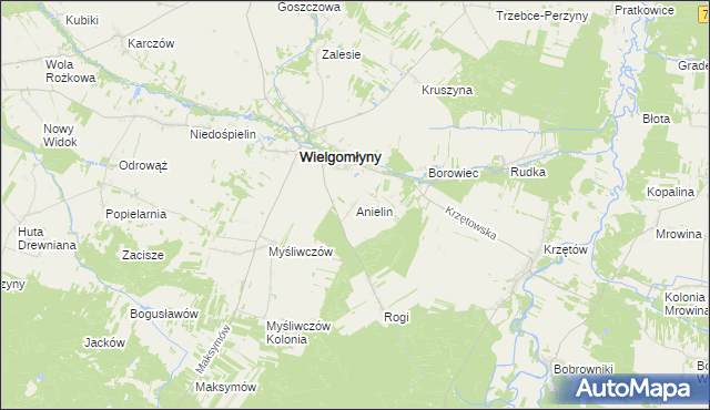 mapa Anielin gmina Wielgomłyny, Anielin gmina Wielgomłyny na mapie Targeo