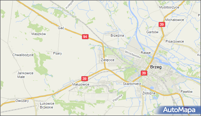 mapa Zielęcice gmina Skarbimierz, Zielęcice gmina Skarbimierz na mapie Targeo