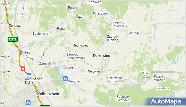 mapa Dzikowiec powiat kolbuszowski, Dzikowiec powiat kolbuszowski na mapie Targeo