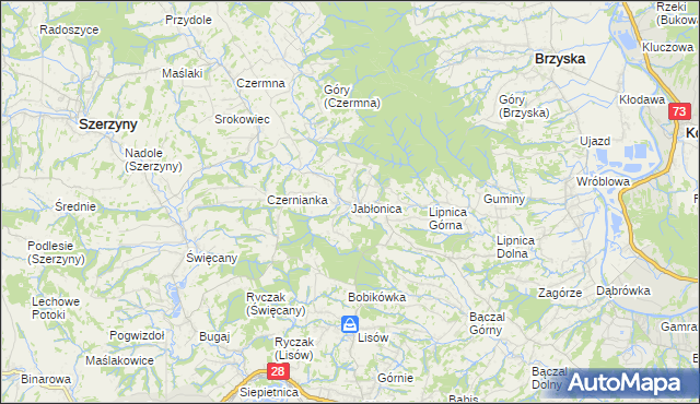 mapa Jabłonica gmina Skołyszyn, Jabłonica gmina Skołyszyn na mapie Targeo
