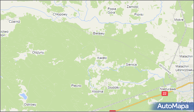 mapa Kwieki, Kwieki na mapie Targeo