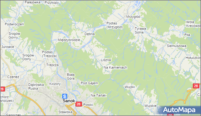 mapa Liszna gmina Sanok, Liszna gmina Sanok na mapie Targeo