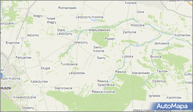 mapa Świny gmina Koluszki, Świny gmina Koluszki na mapie Targeo