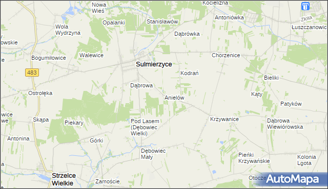 mapa Anielów gmina Sulmierzyce, Anielów gmina Sulmierzyce na mapie Targeo