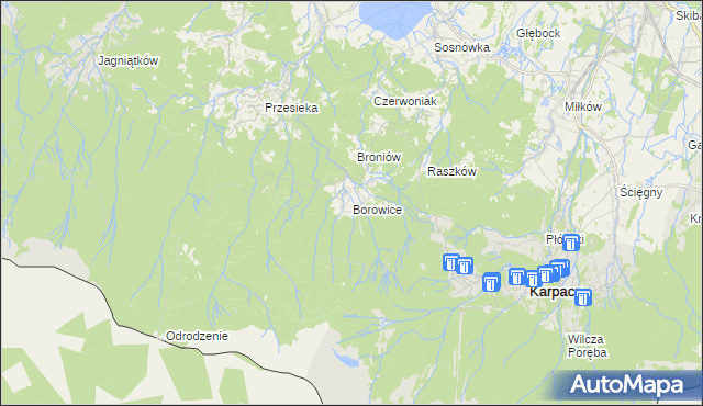 mapa Borowice gmina Podgórzyn, Borowice gmina Podgórzyn na mapie Targeo