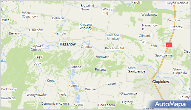 mapa Borowiec gmina Ciepielów, Borowiec gmina Ciepielów na mapie Targeo