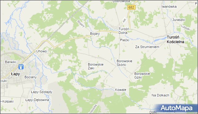 mapa Borowskie Olki, Borowskie Olki na mapie Targeo