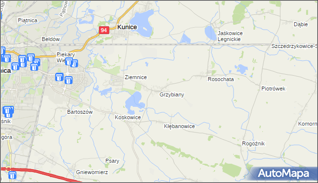 mapa Grzybiany, Grzybiany na mapie Targeo