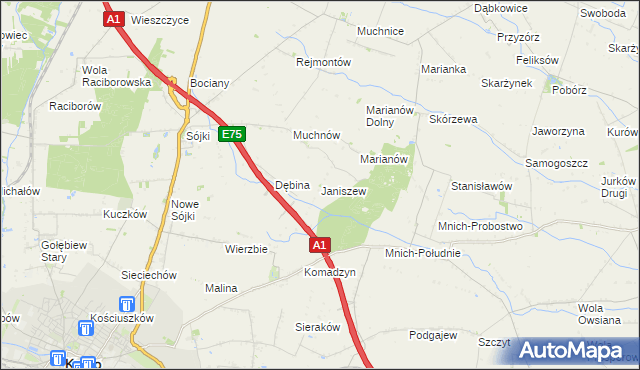 mapa Janiszew gmina Strzelce, Janiszew gmina Strzelce na mapie Targeo