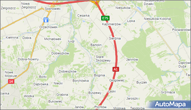 mapa Stare Skoszewy, Stare Skoszewy na mapie Targeo