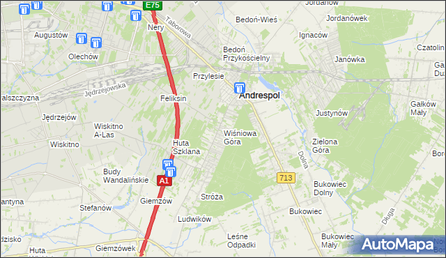 mapa Wiśniowa Góra, Wiśniowa Góra na mapie Targeo