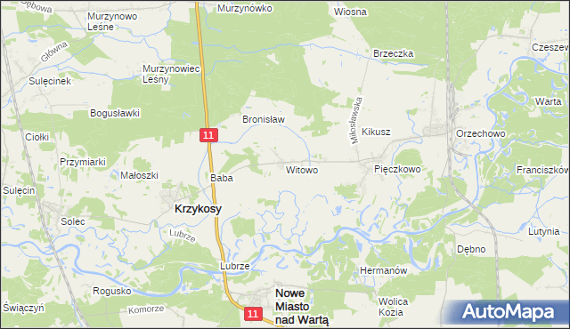 mapa Witowo gmina Krzykosy, Witowo gmina Krzykosy na mapie Targeo